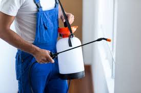 Best Real Estate Pest Inspections  in Brusly, LA